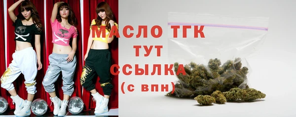 гашик Алексеевка