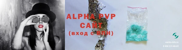 гашик Алексеевка