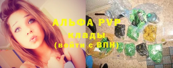 гашик Алексеевка