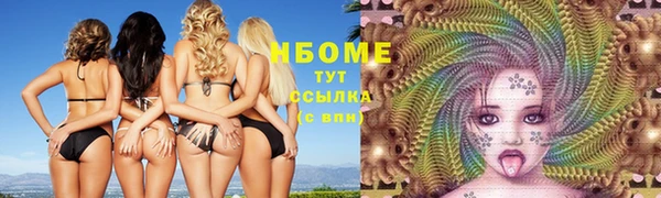 гашик Алексеевка