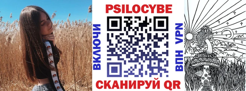 хочу гидра ССЫЛКА Псилоцибиновые грибы Cubensis Чехов