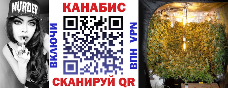 купить закладку  Чехов  МАРИХУАНА SATIVA & INDICA 